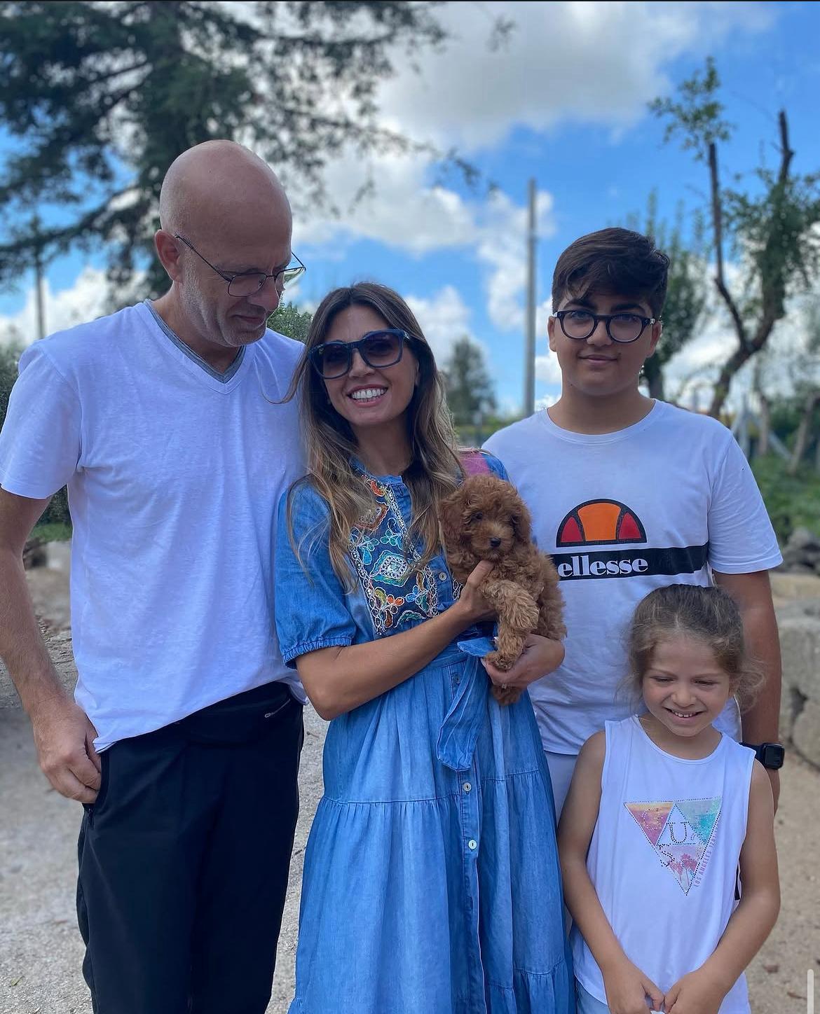 Poodle puppy from Emerald Poodle