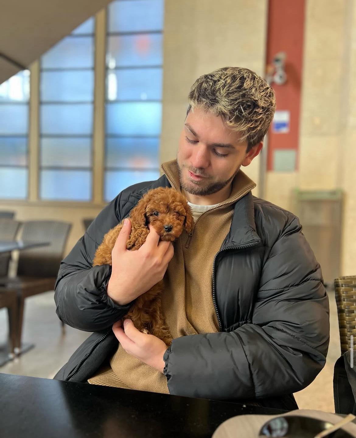 Emerald Poodle family