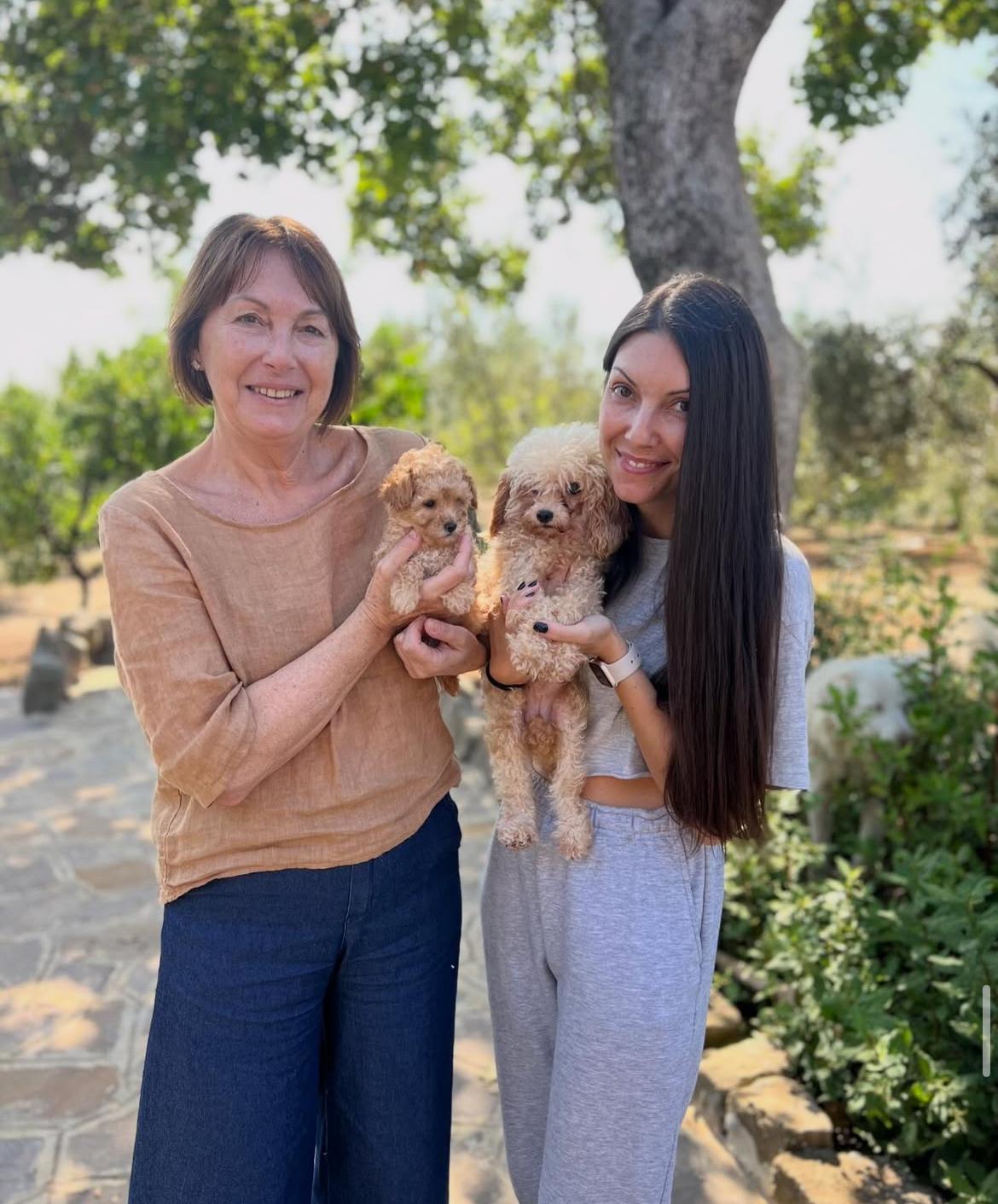 Emerald Poodle family