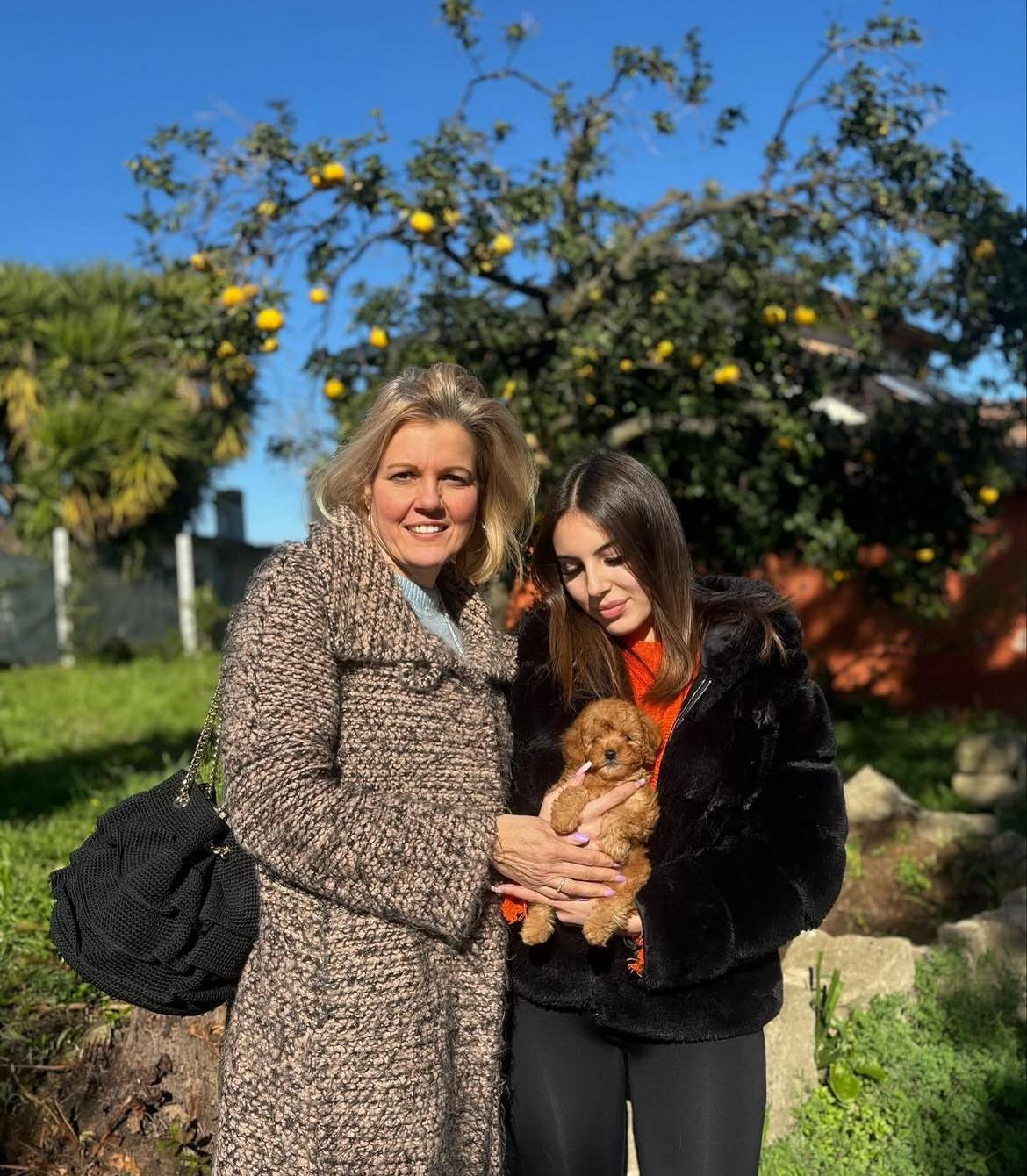 Emerald Poodle family