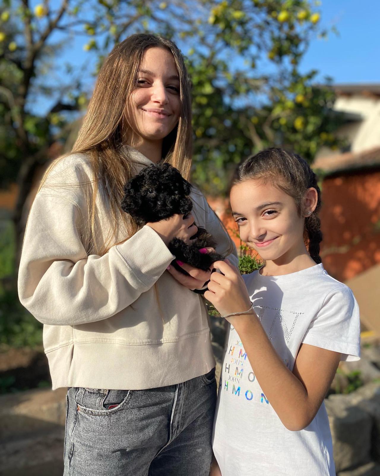 Emerald Poodle family