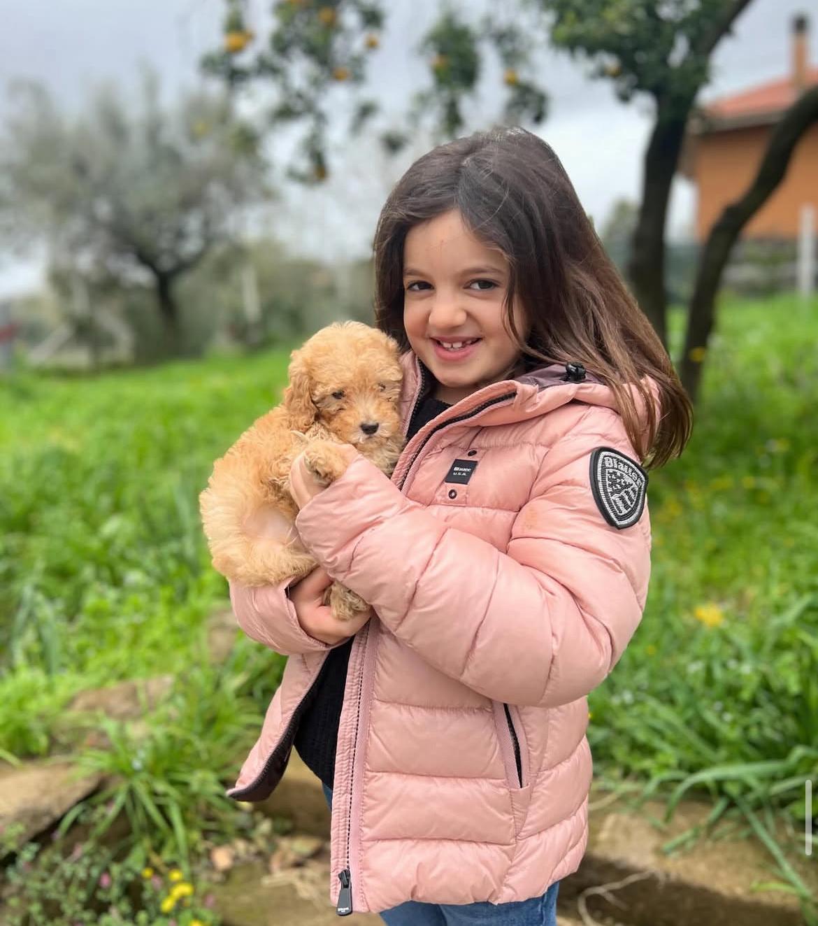 Emerald Poodle family