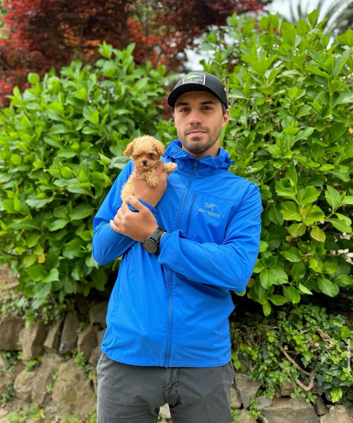 Emerald Poodle family