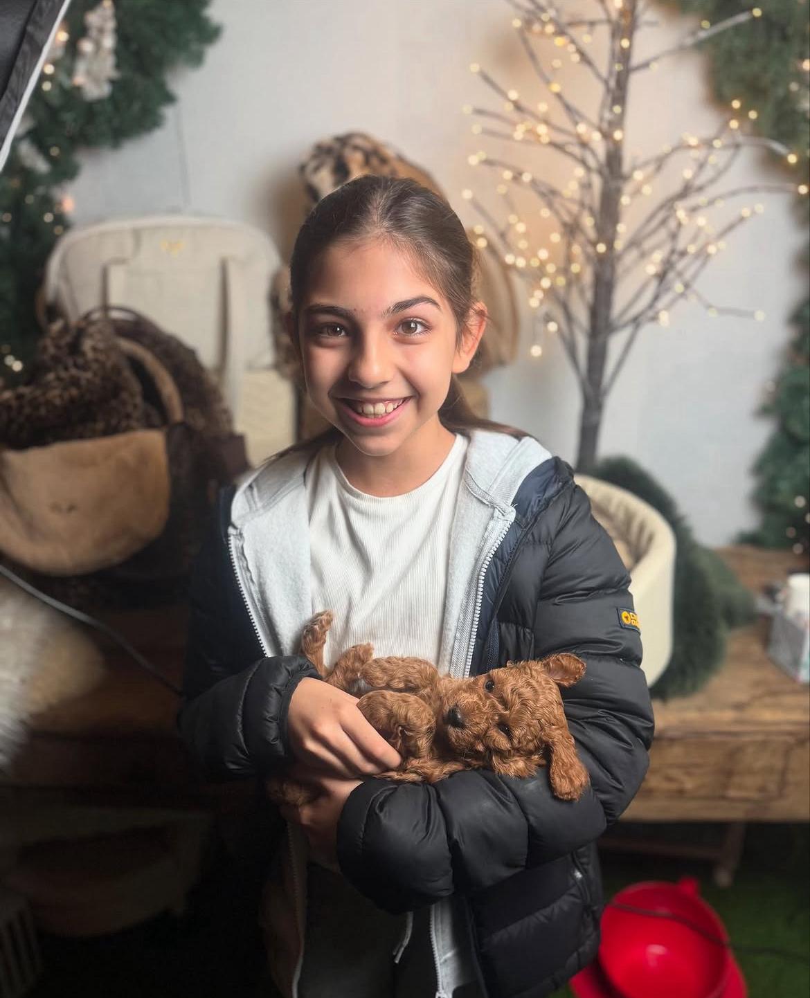 Emerald Poodle family