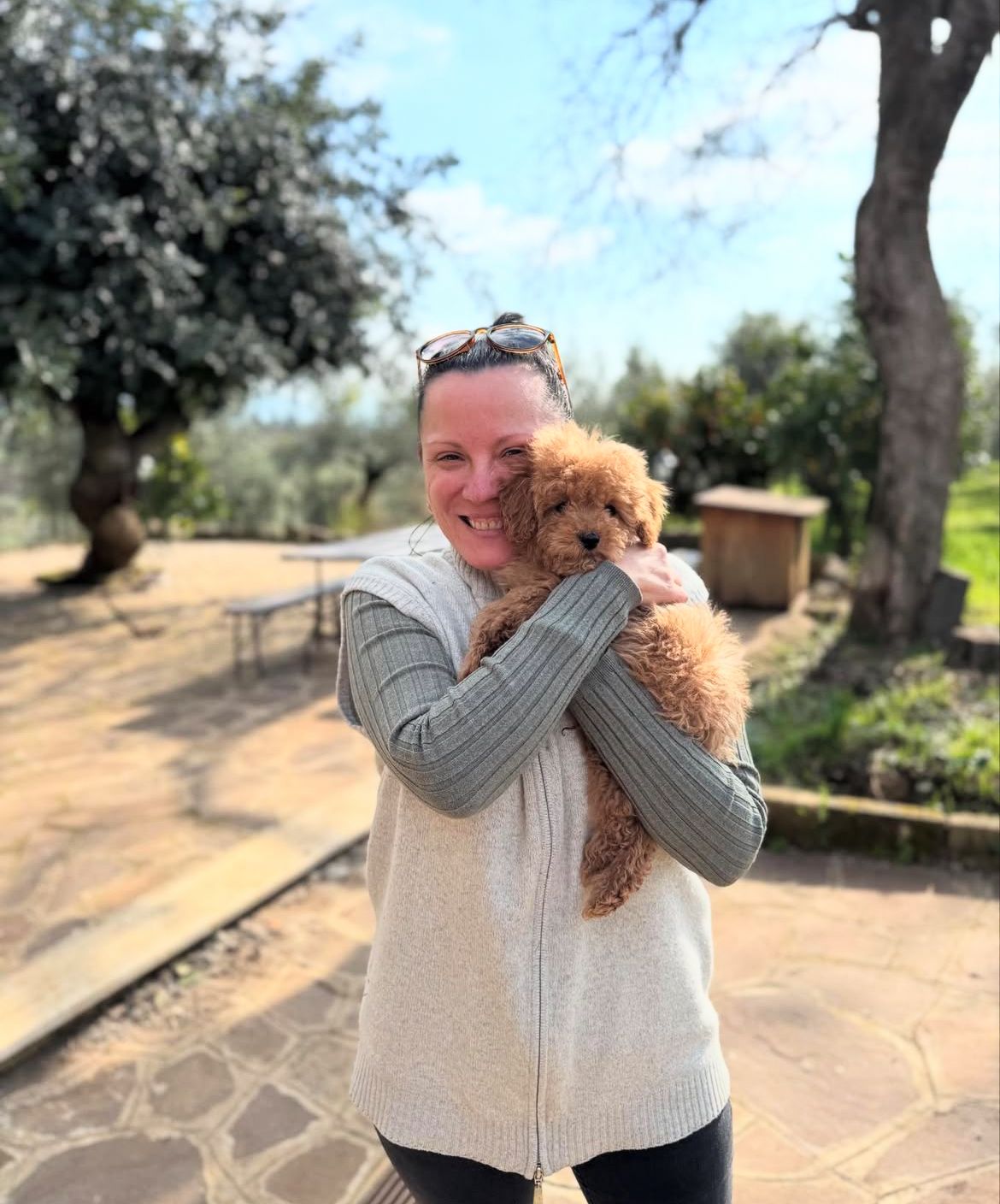 Emerald Poodle family
