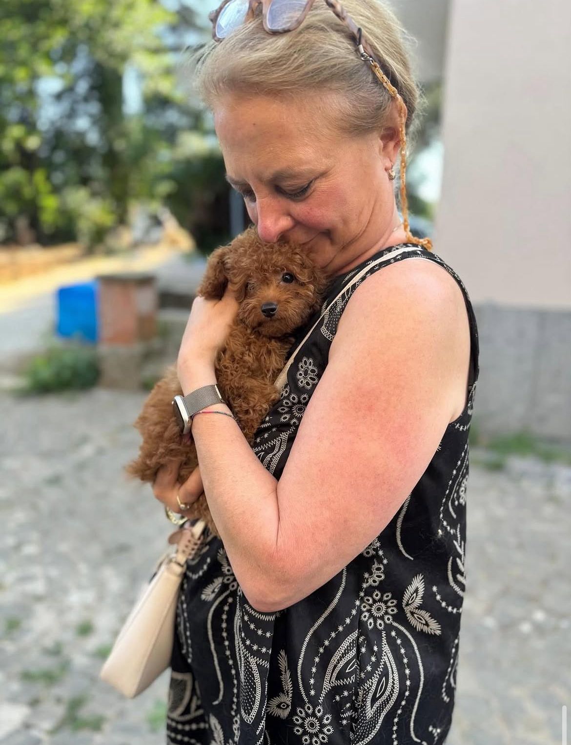 Emerald Poodle family