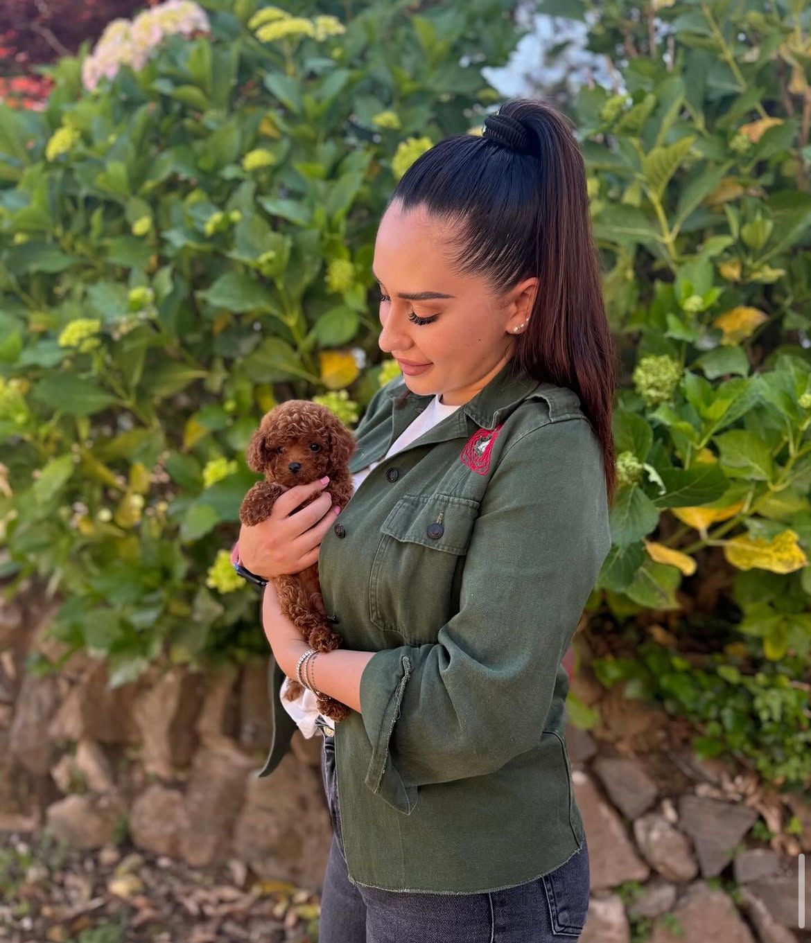 Emerald Poodle family