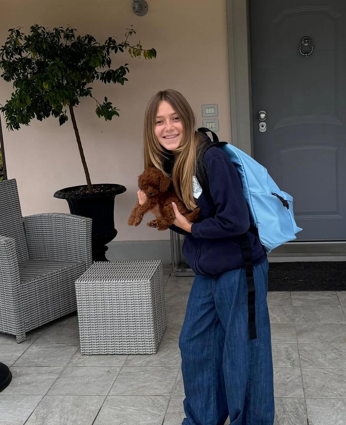 Emerald Poodle family