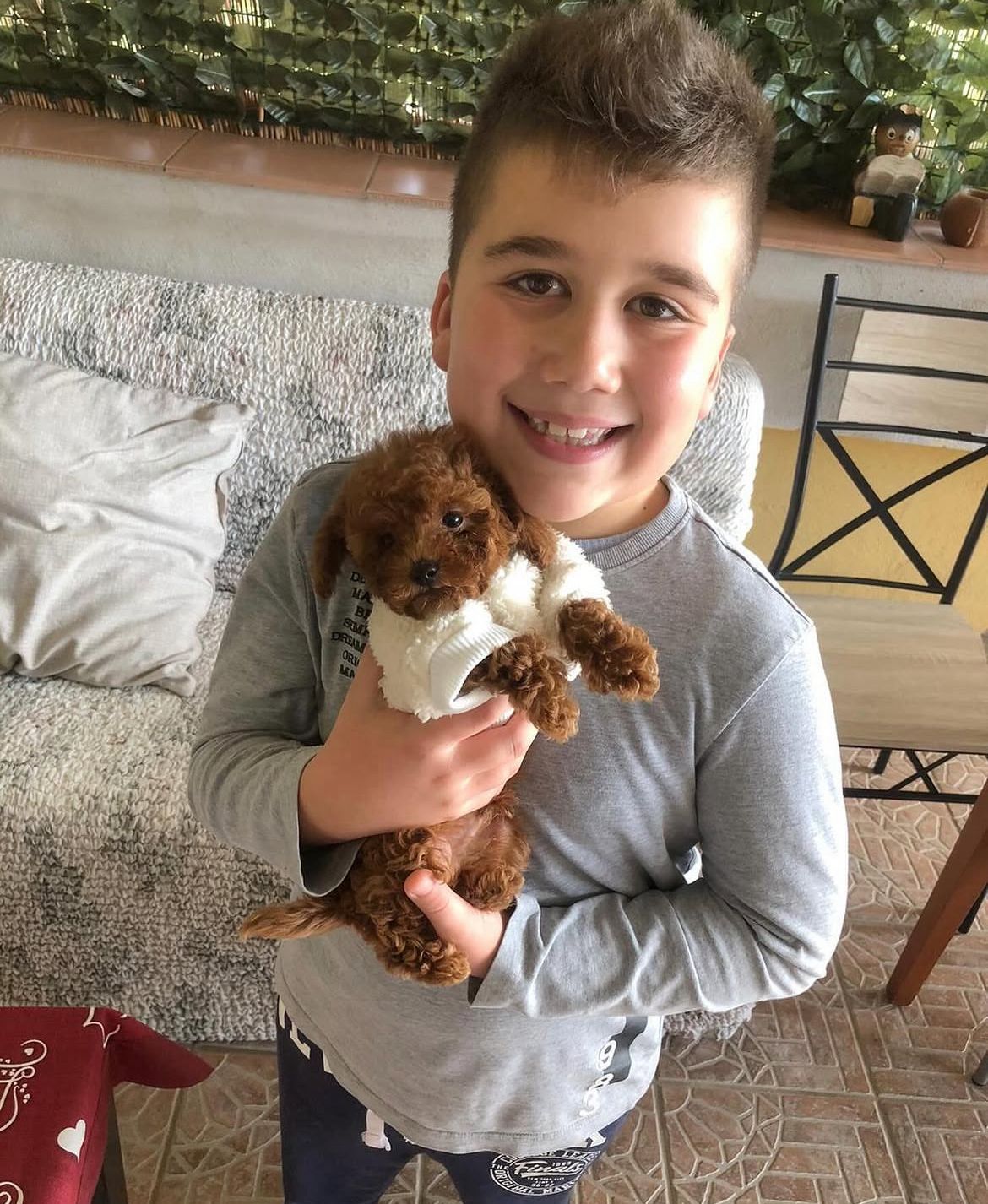 Emerald Poodle family