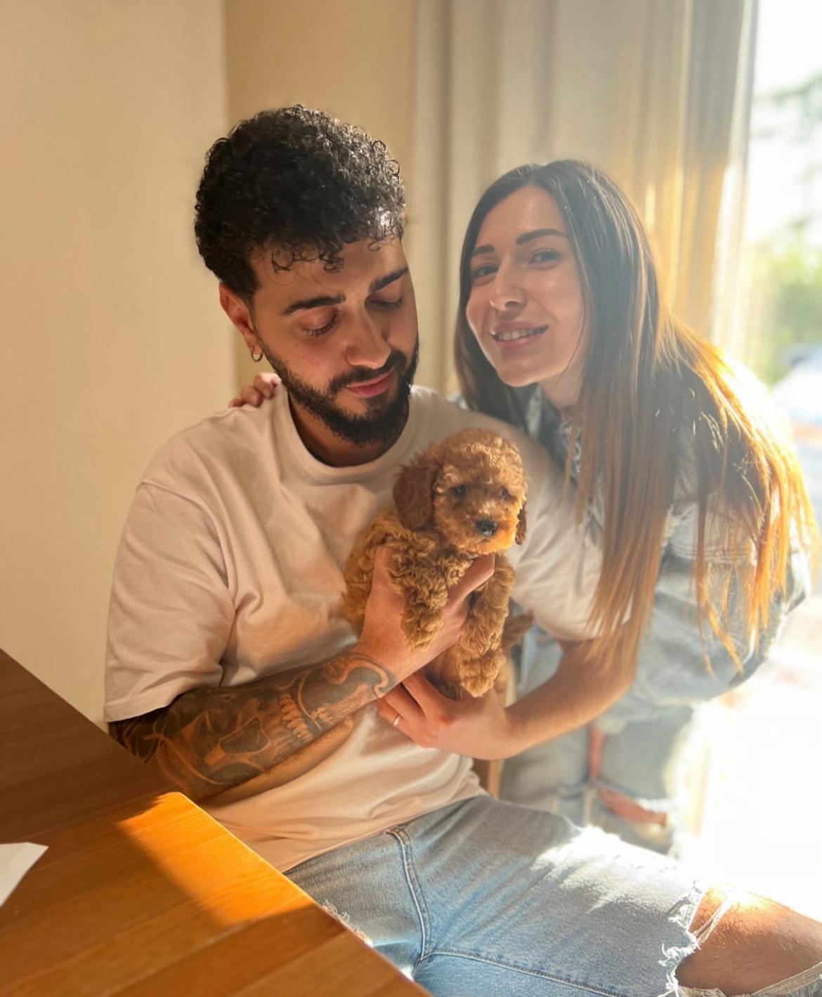 Emerald Poodle family